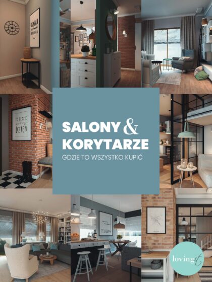 Ebook SALONY & KORYTARZE