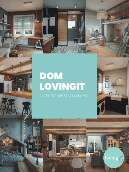 Ebook DOM LOVINGIT